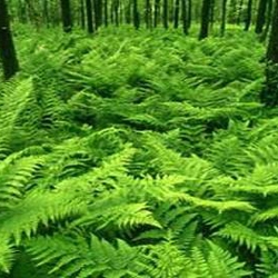 3RD edition spring of Marrakech