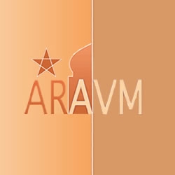 The clandestine operators already identified by the authorities