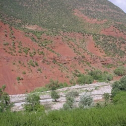 The ourika, a tourist site promising but ...