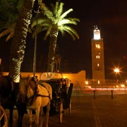 Feasts of end of annes. Marrakech displays complete !
