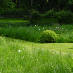 The green belt in Marrakech
