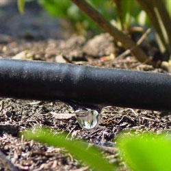 National debate on water in Marrakech