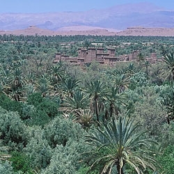 The future of the Oasis Hassan II ....