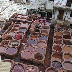 A plan to save the tanneries