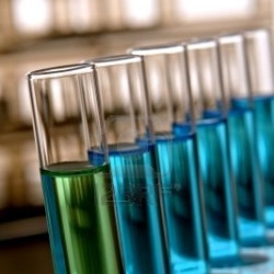 The week scientific and cultural development of the student in Marrakech