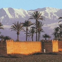 Creation of the Moroccan Institute in Marrakech