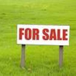 Investors and speculators of all hair.