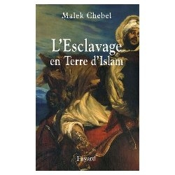L& # 8217 ;slavery in earth d& # 8217 ;islam of Malek Chebel