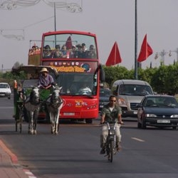 Situation of the urban traffic in the ochre city