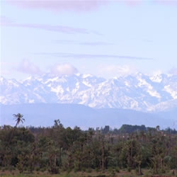 5,000 more beds before end 2008