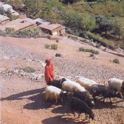 Call to make an extra effort of donors