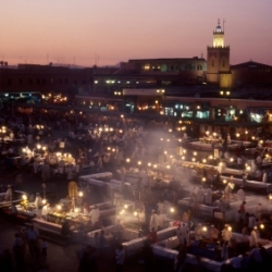 Rooting for the solidarity dimension