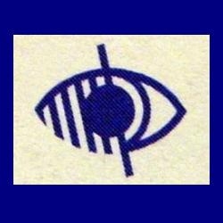 Nmff: a programming for the non-and visually impaired