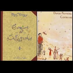 A partnership between the French Institute and the Midi-pyrénées region