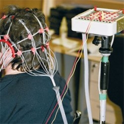 Topography of a victory not announced