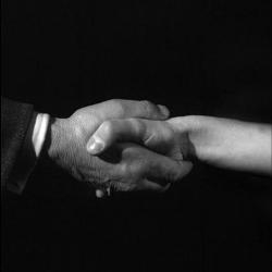 Cooperation between the city of Marrakech and florianopolis