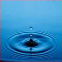 Workshop on the issues trans-regional sectoral water