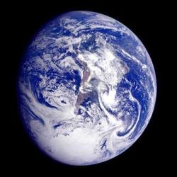 On the occasion of the world day of the Woman