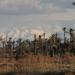 HRH Princess Lalla Hrh launched the program Young Reporters