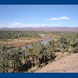 International Meetings Monaco and the Mediterranean from 2010