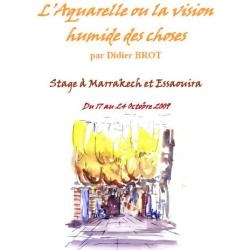 The vision damp of Marrakesh and Essaouira ...