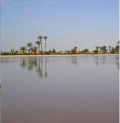 The objectives of ORMVAH of haouz fall within the framework of the Plan Morocco Green