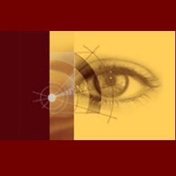 IFF Marrakech: films for the evil and the non-leds