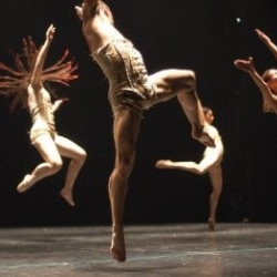 Contemporary Dance: a feast in Marrakech