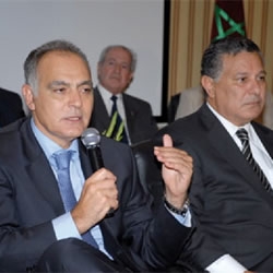 mezouar plebiscite by the national council