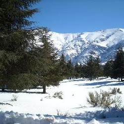 The journalists lovers of skiing in Marrakech