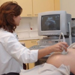 Appeal to Marrakesh for the improvement of indicators