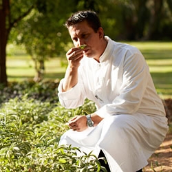 The MAMOUNIA offers his experience: Flavors of the world