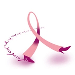 8TH international meeting on the breast cancer in Marrakech