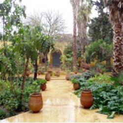 Tribute granted to Denise Masson, a major figure of the landscape of Marrakech