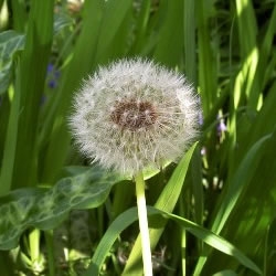The environmental heritage in Marrakech