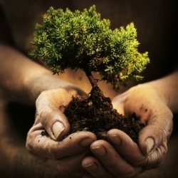 Think green in Marrakech