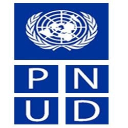 UNDP organized an international conference in Marrakech