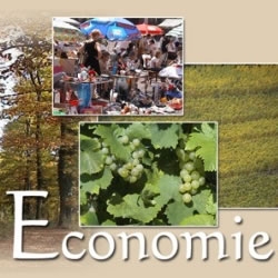 An economic and sustainable growth in Marrakech