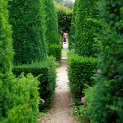 Festival of the art of the garden of Marrakech: a closure in beauty