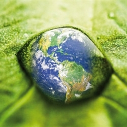 Days of awareness about the environment in Marrakech