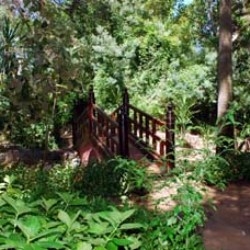 Hortis Landscaping Design