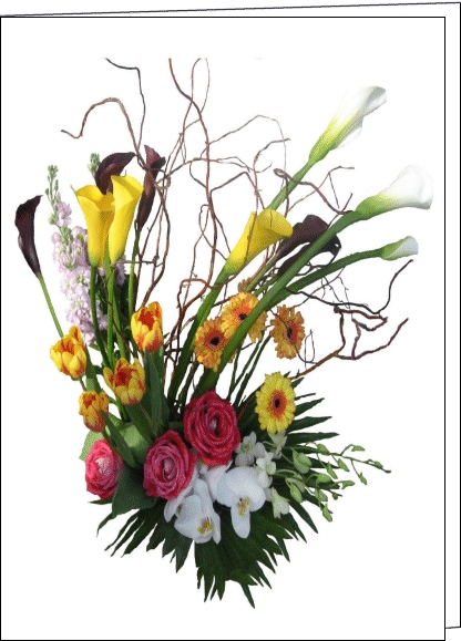 The Nose in l’herbe