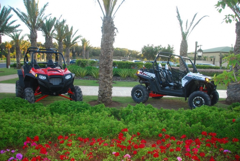 AMERICAN BUGGIES ADVENTURES