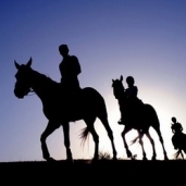 The Stables of Marrakech