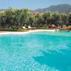 The olive grove of MARIGHA