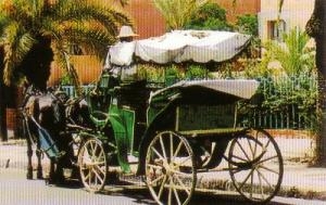 The horse drawn carriages