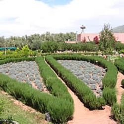 The garden bio aromatic of the Ourika