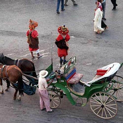 The horse drawn carriages