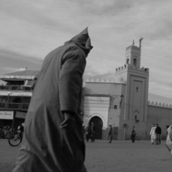 The Seven Saints in Marrakech