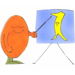 Organize conferences in Marrakech???